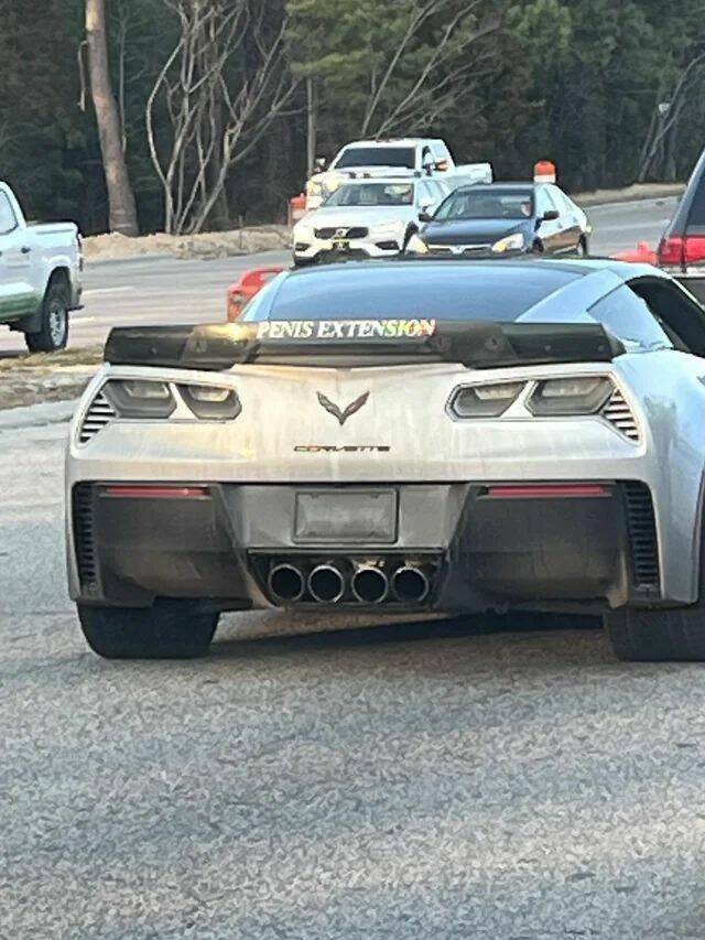 Daily Picdump Daily Picdump