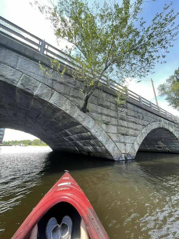 Daily Picdump Daily Picdump