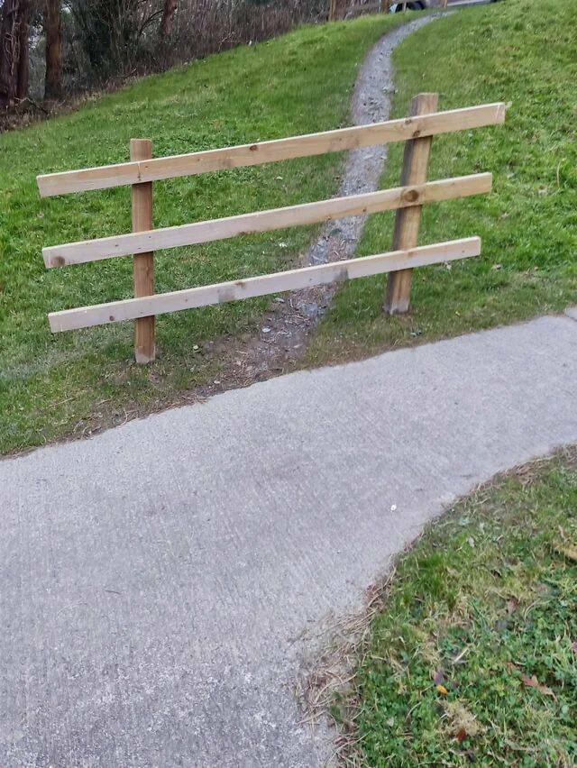 Daily Picdump Daily Picdump