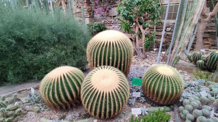 Daily Picdump [WEEKEND EDITION]