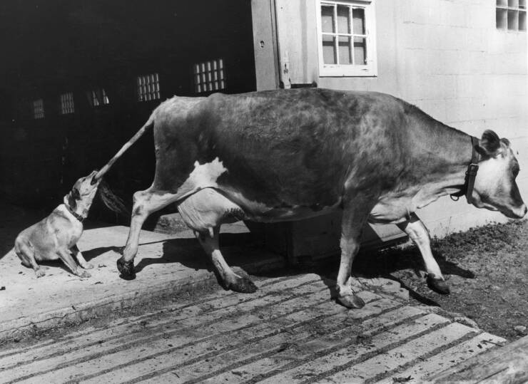 Daily Picdump [WEEKEND EDITION]