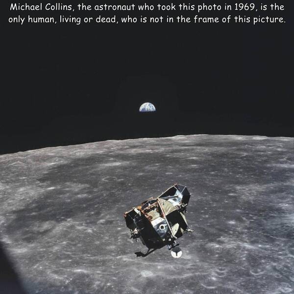 Daily Picdump [WEEKEND EDITION]