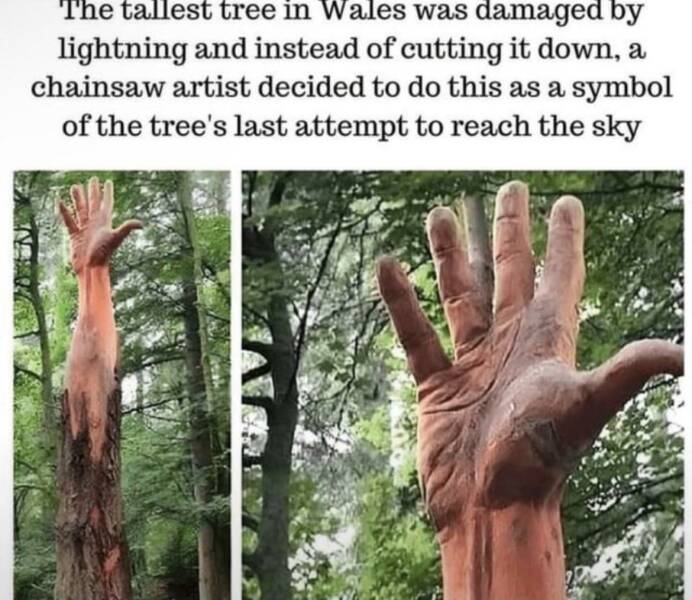 Daily Picdump [WEEKEND EDITION]