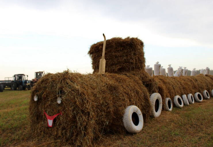 Daily Picdump [WEEKEND EDITION]