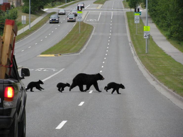 Daily Picdump [WEEKEND EDITION]