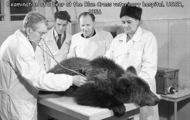 Daily Picdump [WEEKEND EDITION]