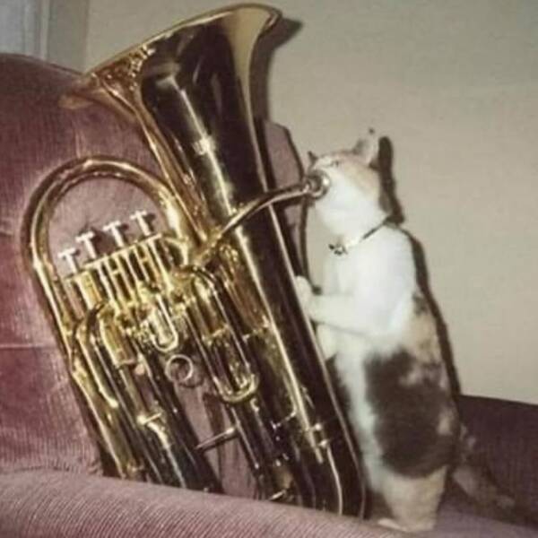 Daily Picdump [WEEKEND EDITION]