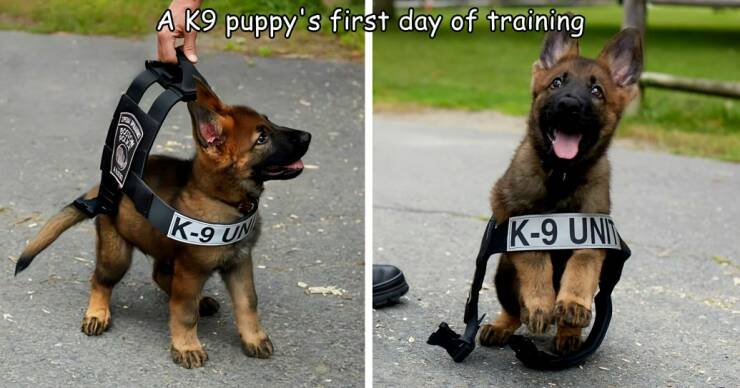 Daily Picdump [WEEKEND EDITION]