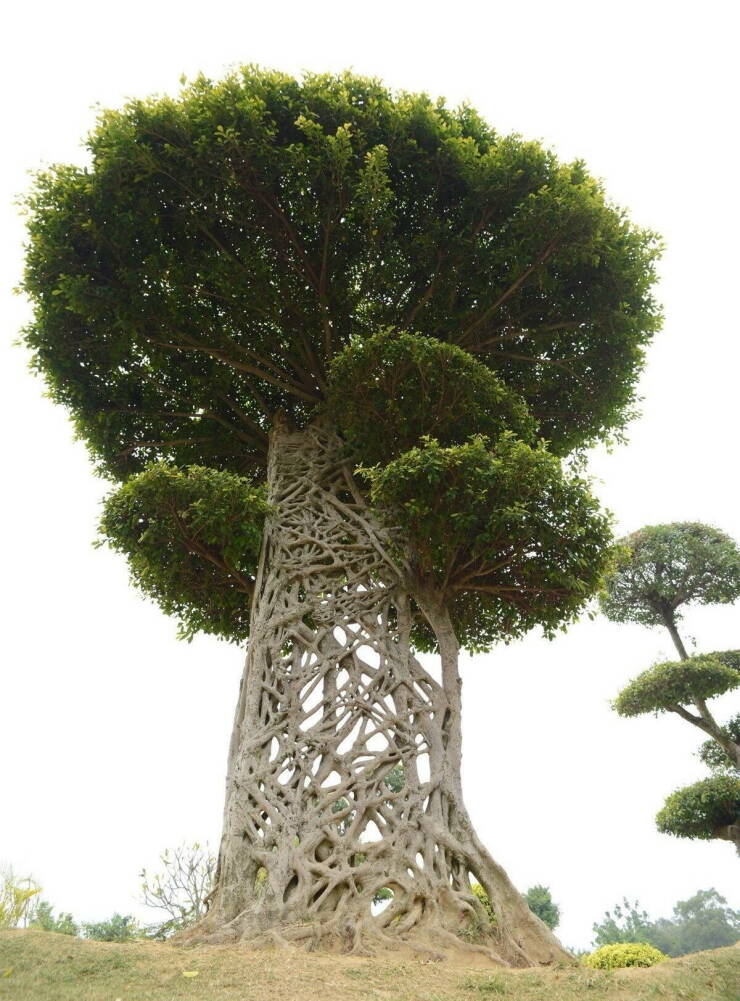 Daily Picdump [WEEKEND EDITION]