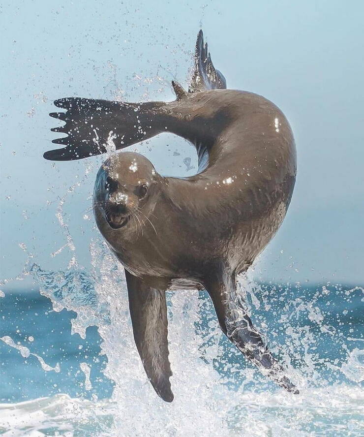 Daily Picdump [WEEKEND EDITION]