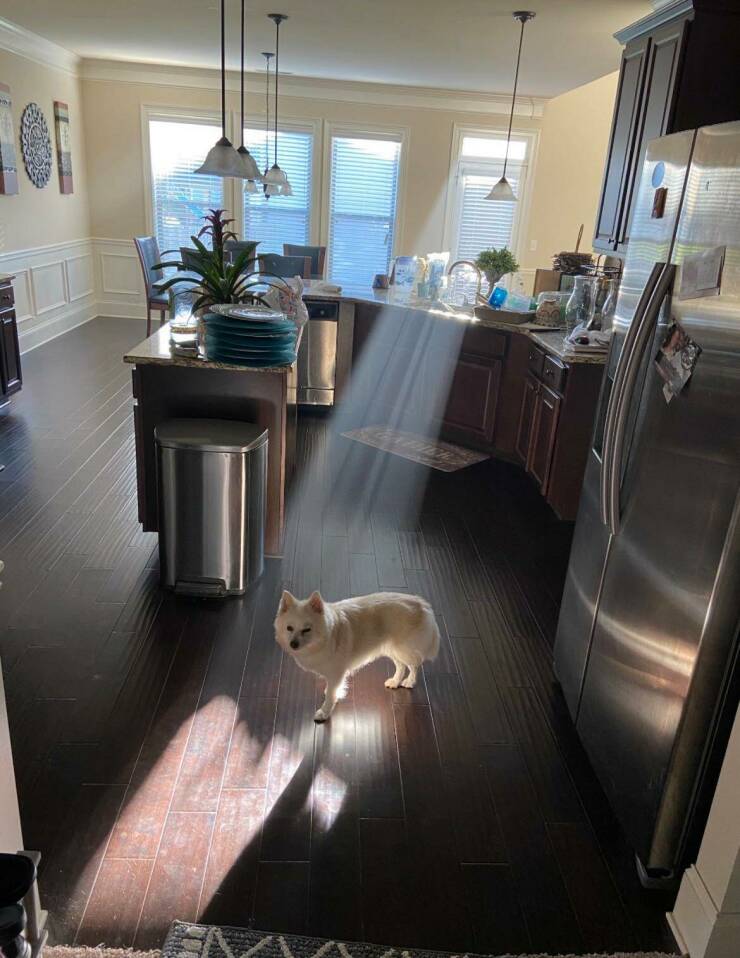 Daily Picdump [WEEKEND EDITION]