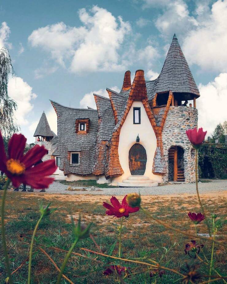 Daily Picdump [WEEKEND EDITION]