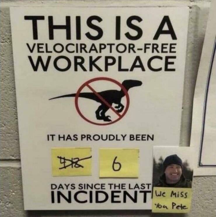 Daily Picdump [WEEKEND EDITION]