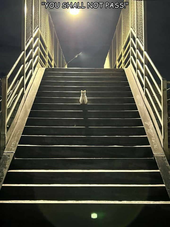 Daily Picdump [WEEKEND EDITION]