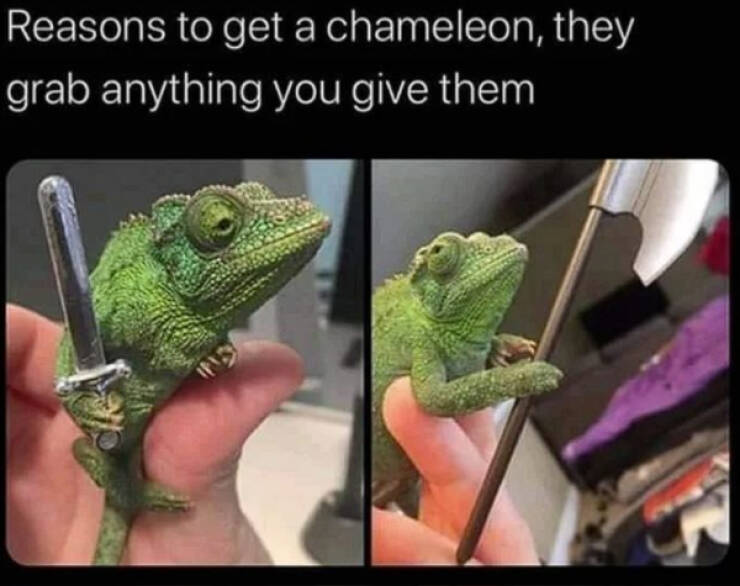 Heartwarming Posts That Radiate Pure Positivity Heartwarming Posts That Radiate Pure Positivity