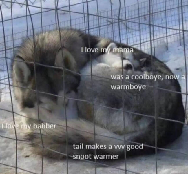 Heartwarming Posts That Radiate Pure Positivity Heartwarming Posts That Radiate Pure Positivity