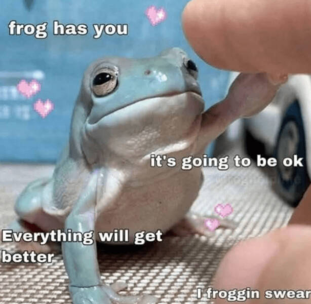 Heartwarming Posts That Radiate Pure Positivity Heartwarming Posts That Radiate Pure Positivity