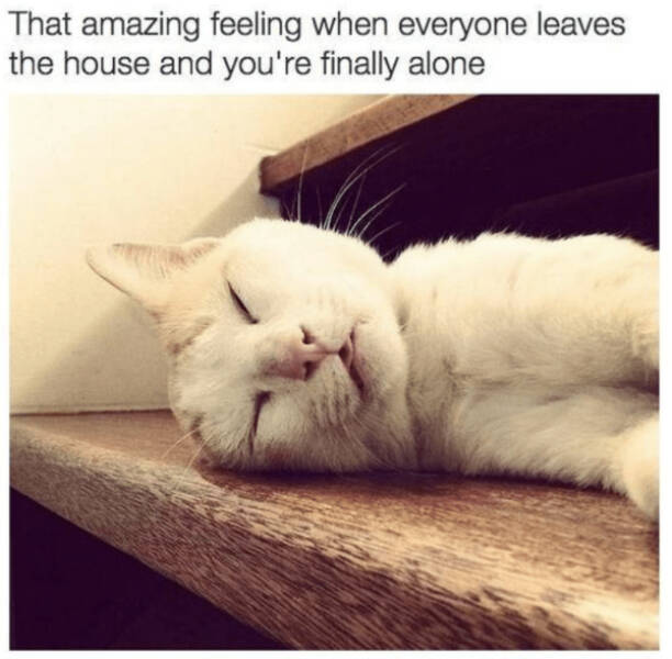 Heartwarming Posts That Radiate Pure Positivity Heartwarming Posts That Radiate Pure Positivity