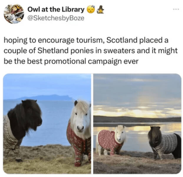 Heartwarming Posts That Radiate Pure Positivity Heartwarming Posts That Radiate Pure Positivity