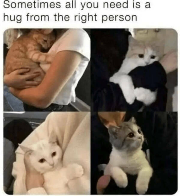 Heartwarming Posts That Radiate Pure Positivity Heartwarming Posts That Radiate Pure Positivity