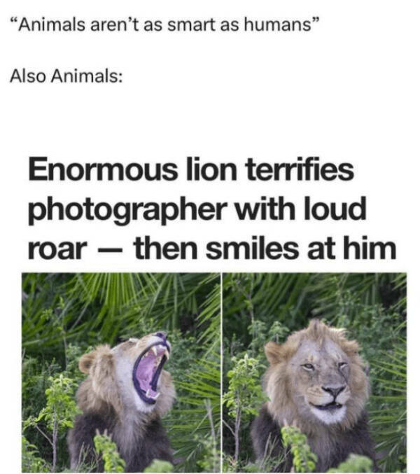 Heartwarming Posts That Radiate Pure Positivity Heartwarming Posts That Radiate Pure Positivity