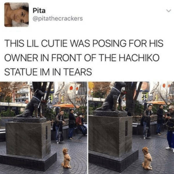 Heartwarming Posts That Radiate Pure Positivity Heartwarming Posts That Radiate Pure Positivity