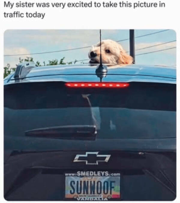 Heartwarming Posts That Radiate Pure Positivity Heartwarming Posts That Radiate Pure Positivity