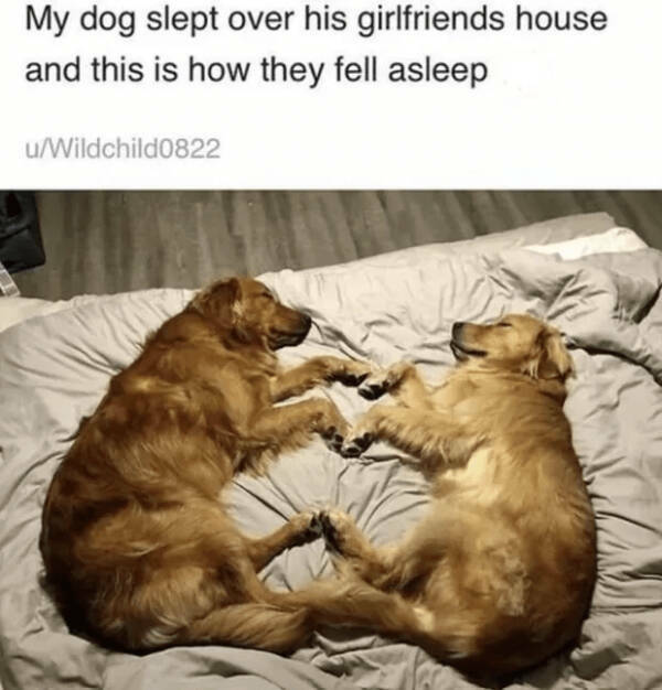 Heartwarming Posts That Radiate Pure Positivity Heartwarming Posts That Radiate Pure Positivity