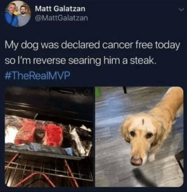 Heartwarming Posts That Radiate Pure Positivity Heartwarming Posts That Radiate Pure Positivity