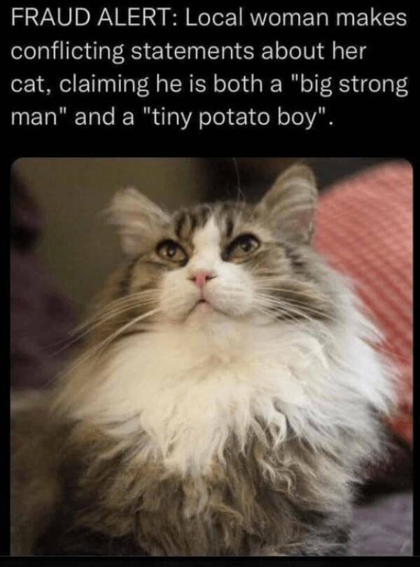 Heartwarming Posts That Radiate Pure Positivity Heartwarming Posts That Radiate Pure Positivity