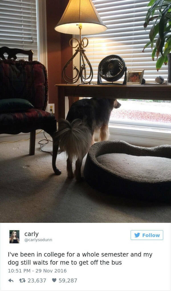 Heartwarming Posts That Radiate Pure Positivity Heartwarming Posts That Radiate Pure Positivity