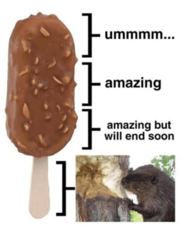 Heartwarming Posts That Radiate Pure Positivity Heartwarming Posts That Radiate Pure Positivity