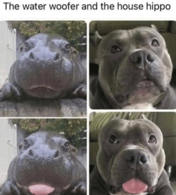 Heartwarming Posts That Radiate Pure Positivity Heartwarming Posts That Radiate Pure Positivity