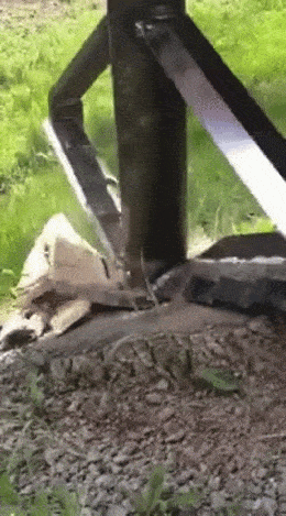 Daily Gifdump [WEEKEND EDITION]