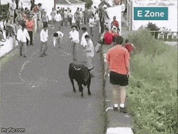 Daily Gifdump [WEEKEND EDITION]