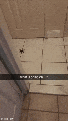 Daily Gifdump [WEEKEND EDITION]