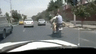 Daily Gifdump [WEEKEND EDITION]