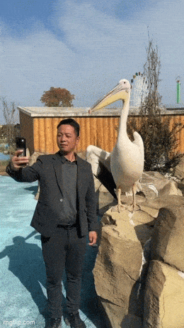 Daily Gifdump [WEEKEND EDITION]