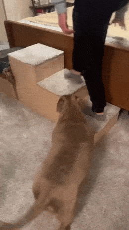 Daily Gifdump [WEEKEND EDITION]