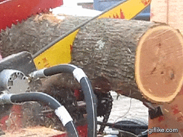 Daily Gifdump [WEEKEND EDITION]