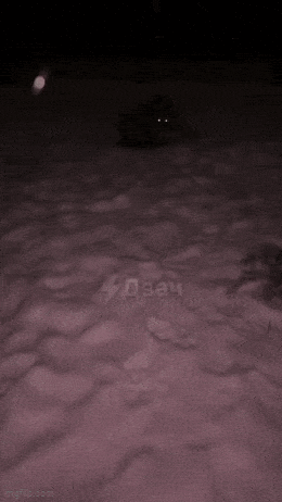 Daily Gifdump [WEEKEND EDITION]