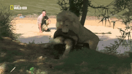 Daily Gifdump [WEEKEND EDITION]