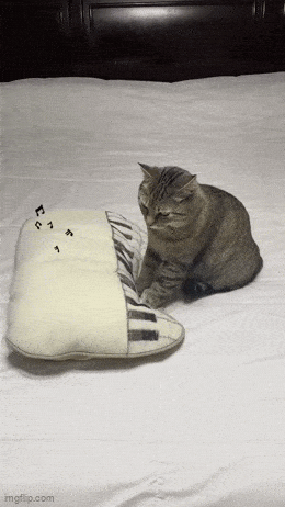 Daily Gifdump [WEEKEND EDITION]