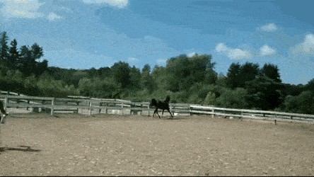 Daily Gifdump [WEEKEND EDITION]