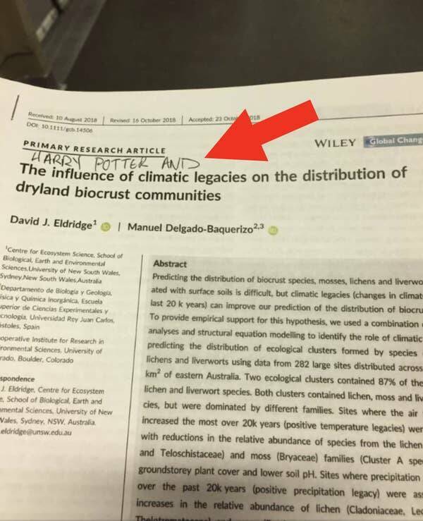 Ridiculously Funny Pics You Can’t Unsee