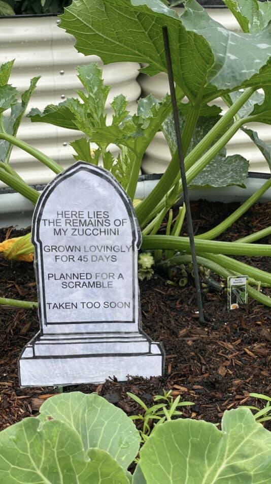 Ridiculously Funny Pics You Can’t Unsee