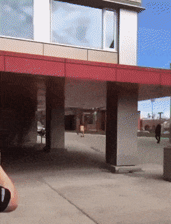 Daily Gifdump Daily Gifdump