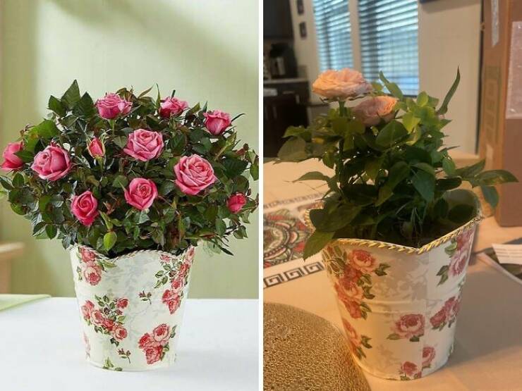 Epic Valentine’s Fails That Are Painfully Funny