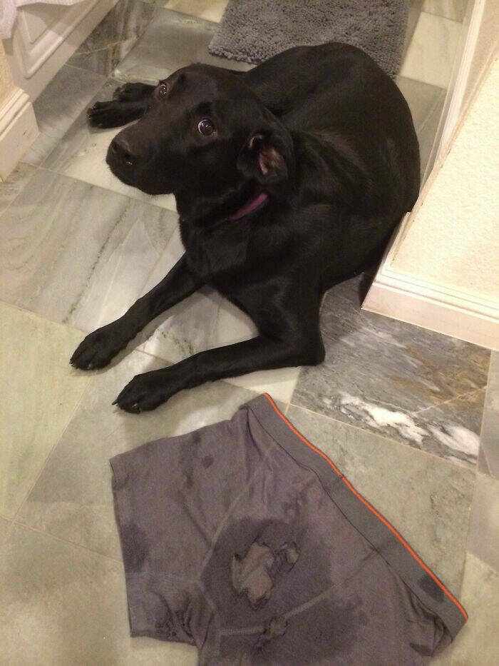 Epic Valentine’s Fails That Are Painfully Funny