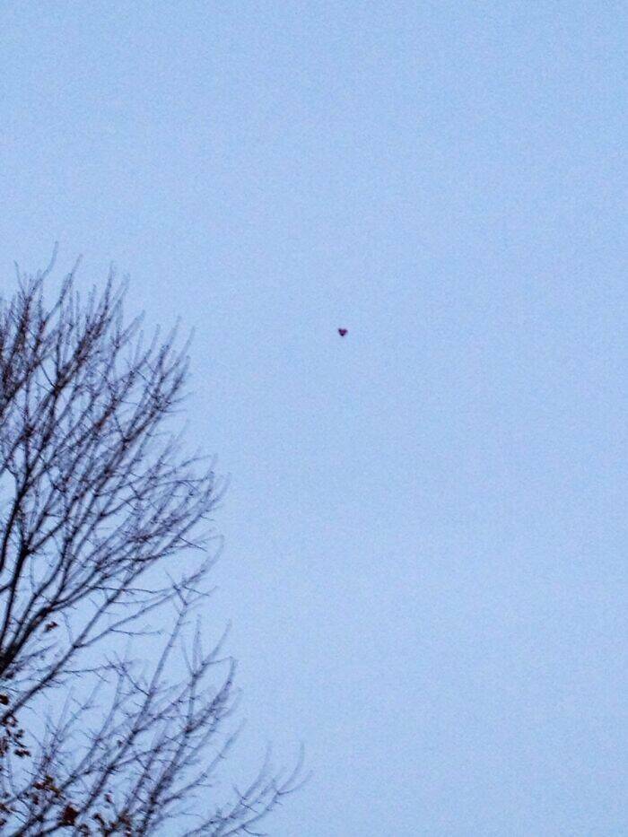 Epic Valentine’s Fails That Are Painfully Funny